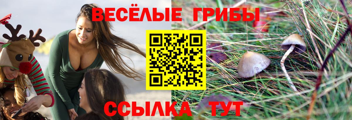 Галлюциногенные грибы прущие грибы  где можно купить   Карталы  Псилоцибиновые грибы мухоморы  Вход с VPN 