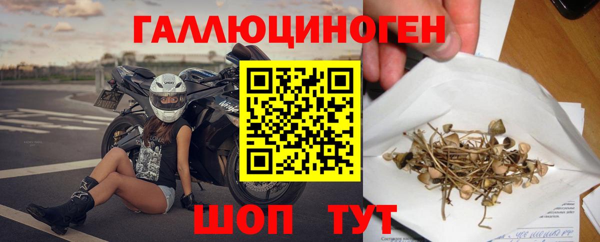 Псилоцибиновые грибы Psilocybe Карталы